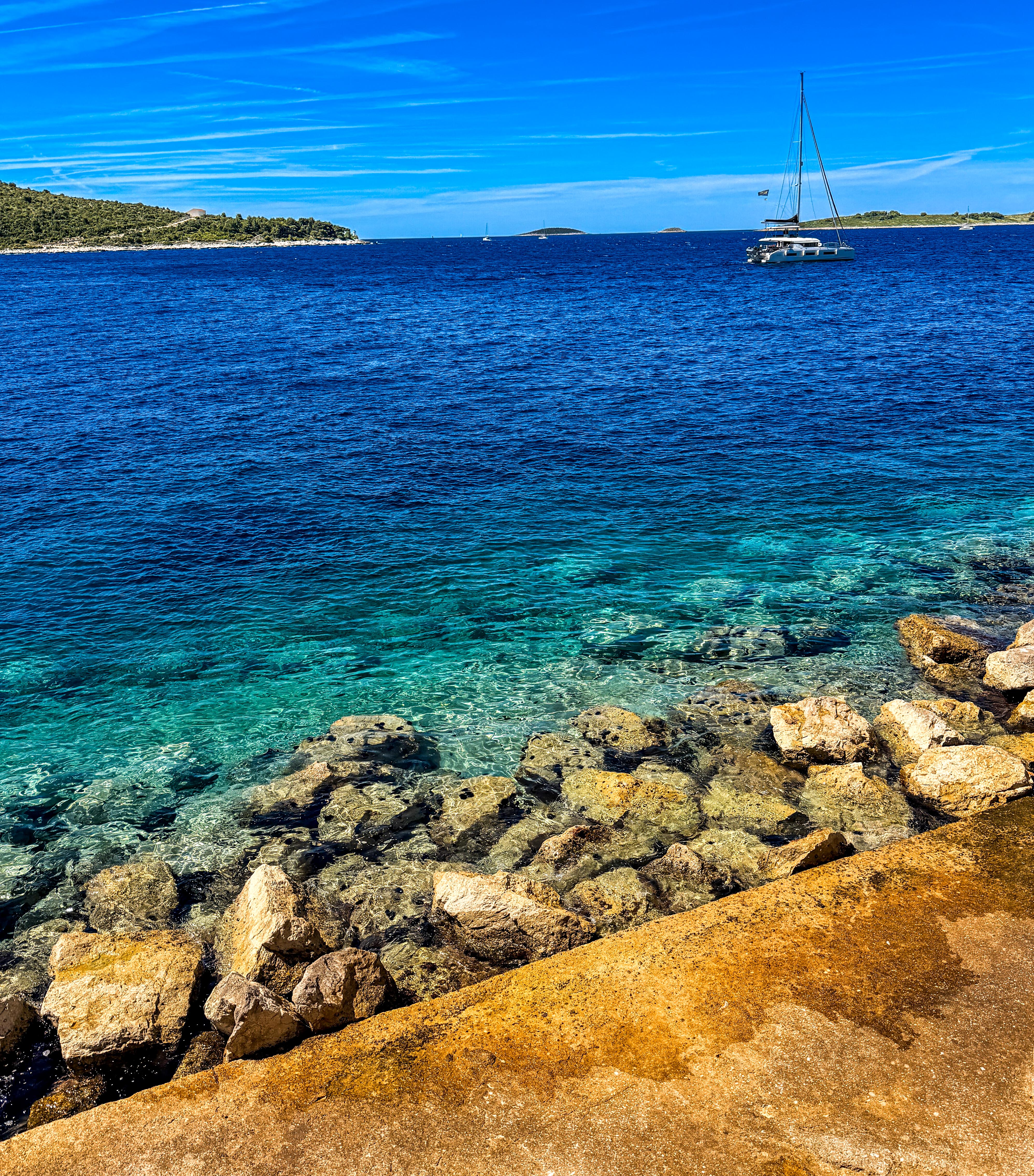 Alt text.